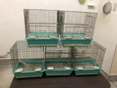 Item thumbnail for item 00fa513c-0555-4521-9e79-6df576b99c60