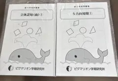 ピグマリオン研究所　知育　幼児教育　立体認知　五方向知覚