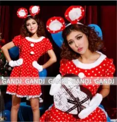 クリスマス　ミニーちゃん風　サンタコスプレ 衣装　仮装