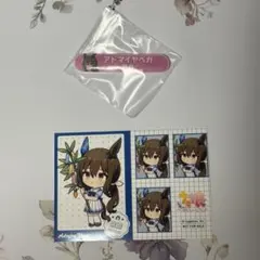 ウマ娘 プリティーダービー 担当称号 キャラバッチ アドマイヤベガ 2点