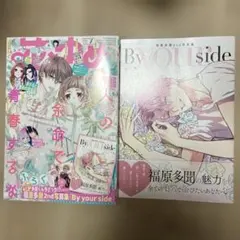 花とゆめ 2004年1～24　24冊 まとめ売り 花とゆめ 2004年24号 中条比紗也 樋口橘 山田南平 仲村佳樹 日高万里