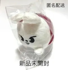 2025年最新】stray kids バッグチャームの人気アイテム - メルカリ