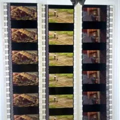 2026年最新】ジブリ美術館 フィルム ハウルの人気アイテム - メルカリ