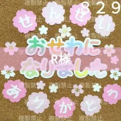 829 卒園 アルバム 色紙 寄せ書き 先生ありがとう 幼稚園 保育園