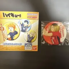 狐爪研磨　ハイキュー！！　缶バッジコレクション