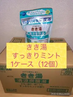 きき湯　 清涼炭酸湯 サステナパック すっきりミント　1ケース（12個）のサムネイル