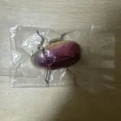 2026年最新】プラチナコガネの人気アイテム - メルカリ