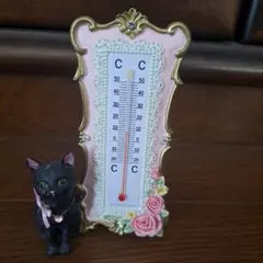 黒猫の温度計