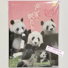 写真集