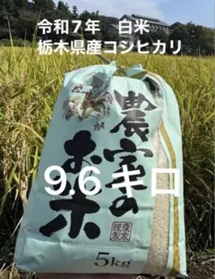 令和7年栃木県産コシヒカリ9.6kg - メルカリ