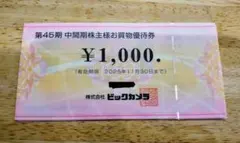 ビックカメラ　株主優待券　10000円分