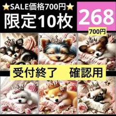 限定10枚 新柄SALE レアパネル生地 6柄セット 6犬種パネル生地