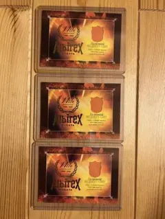 アルビレックス新潟　ビッグジャージ　トレカ