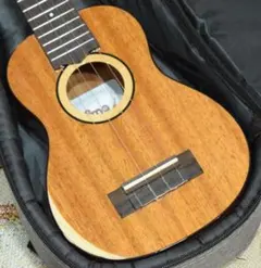 Item thumbnail for item f4a57ac3-0601-4d4c-b5b7-a431deda5e83