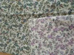 リバティ　ムーンモス 約80cm×2