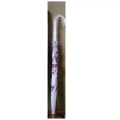 Item thumbnail for item 78d162df-f3f9-49ae-8c25-752783ea8b0a