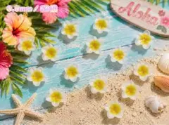 プルメリア　ハイビスカスネイパ50個のサムネイル