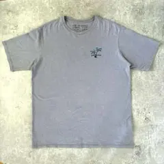 Patagonia "Pataloha" Tシャツ(M) ハワイ限定のサムネイル