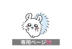 専用ページ