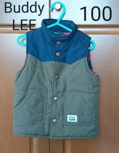 リーダウンベスト100