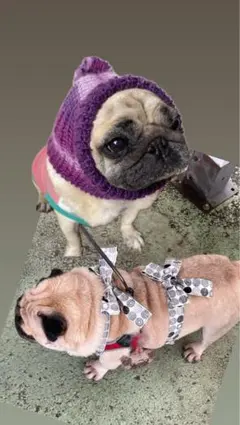 Item thumbnail for item d5ca7db7-f986-4146-ae65-3a05285c88dd