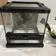 レオパ飼育セット】GEX グラステラリウム3030 暖突 - メルカリ