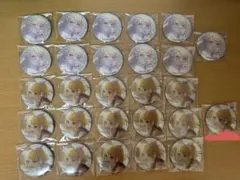 プロセカ 鏡音リン グリッター缶バッジ 7A 8A