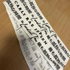 Carly Rae Jepsen ライブグッズ タオル