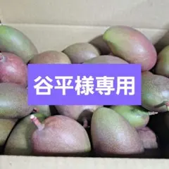 谷平様専用です!
