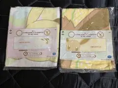 一番くじ　G賞　フェイスタオル　ポケモン　ピカチュウ　イーブイ　my room