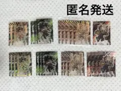 ヒロアカ ショコラグーテ 爆豪勝己 緑谷出久 レア ノーマル