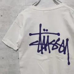 STUSSY ステューシー  半袖Tシャツ ブラック M メキシコ製