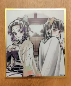 鬼滅の刃 アクリル色紙 WEBSHOPくじ 胡蝶しのぶ・栗花落カナヲ B33