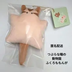 つぶらな瞳の動物園　ふくろももんが　フクロモモンガ　どうぶつえん　キーホルダー
