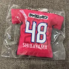 セレッソ大阪　柴山昌也選手　クッションキーホルダー