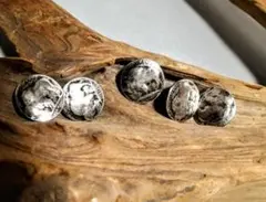 バッファローコイン　コンチョ★5セントコインレプリカ★５個セット★ハンドメイドに