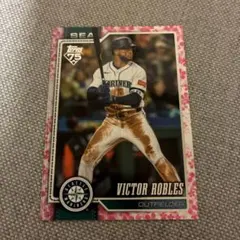 Item thumbnail for item 51e8e92c-1795-4dc1-88d7-e31ee30f7b03