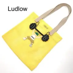 2025年最新】ludlow メッシュの人気アイテム - メルカリ