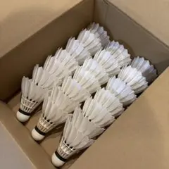 ニューオフィシャル