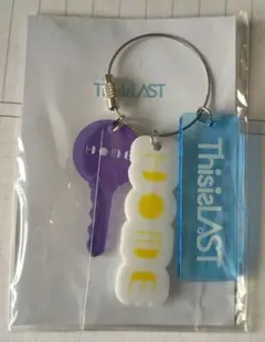 アクリルキーホルダー HOME This is LAST