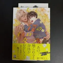 僕のイエローカーテン アニメイト限定ペーパー付き