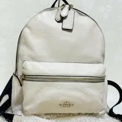 2026年最新】素材：本革 リュック・バックパックの人気アイテム - メルカリ