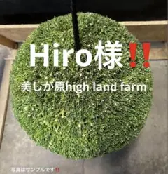 2026年最新】杉玉の人気アイテム - メルカリ