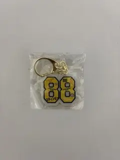 スティンビー アクリルキーホルダー