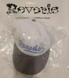 ベッキョン　BAEKHYUN Reverie 　トラッカーキャップ　トレカなし