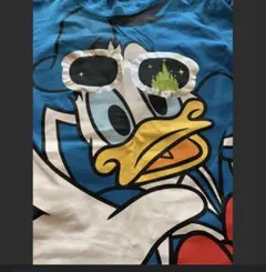 ぴぃ様専用。それ以外は購入しないようお願いします。