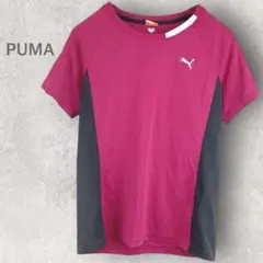 【プーマ】Tシャツ S スポーツウェア 半袖 プルオーバー トップス ドライ