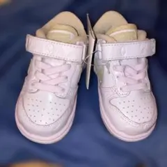 希少Nike Lil Dunk Low ’05 TD ベビー311533-621