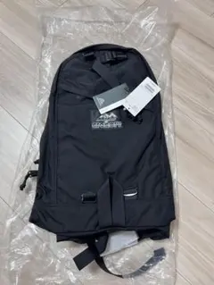 新品 未開封 40周年 グレゴリー×ビームス別注 デイパック ブラック 旧ロゴ GREGORY(グレゴリー)〉×BEAMS more！｜ビームス ジャパン｜BEAMS