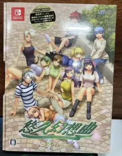 ラーゼフォン 蒼穹幻想曲 公式ガイドブック PS2 - メルカリ